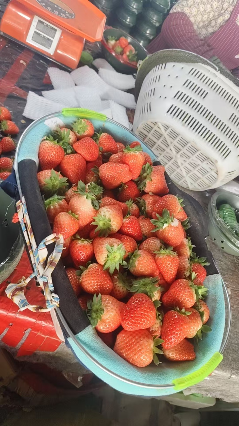 奶油草莓