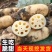 山东省菏泽市曹县万亩荷塘莲藕种植基地示范，白莲藕品质优良