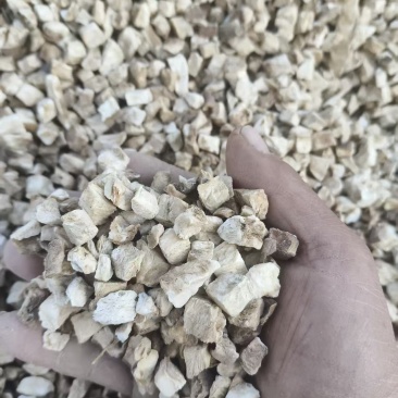 菊苣根/菊苣丁/颗粒/中药材