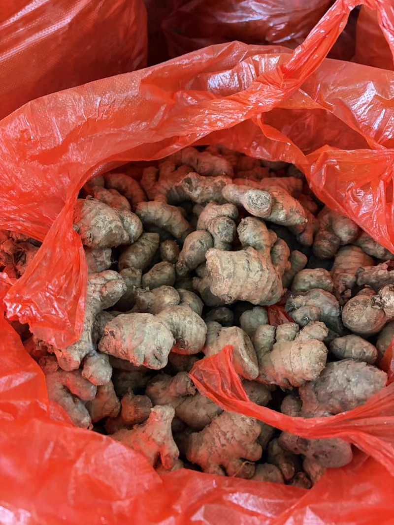 贵州姜母（40斤）