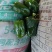 圆椒头，圆椒橛子，食堂菜，赶集菜