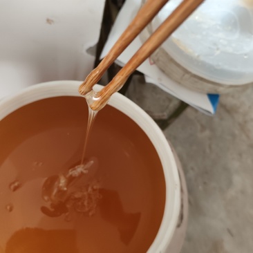 土蜂蜜