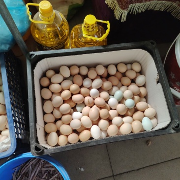 河南新乡辉县土鸡蛋！