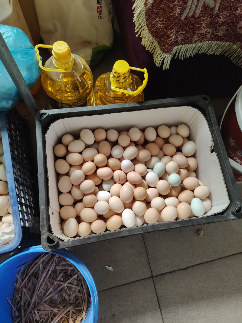 河南新乡辉县土鸡蛋！