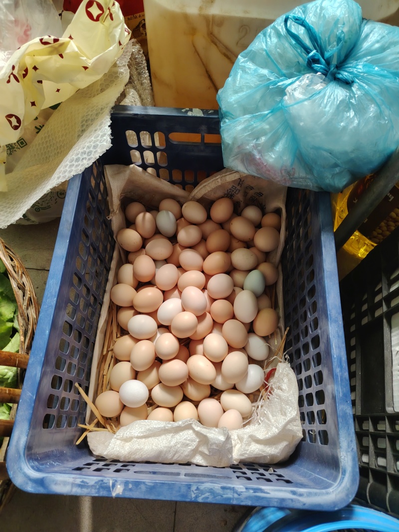 河南新乡辉县土鸡蛋！