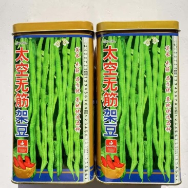 四季豆种子太空无筋架豆抗病抗热荚肉厚绿色圆长产量高四季豆种子
