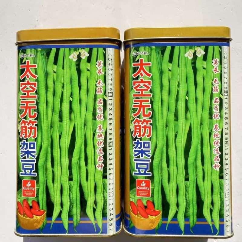 四季豆种子太空无筋架豆抗病抗热荚肉厚绿色圆长产量高四季豆种子