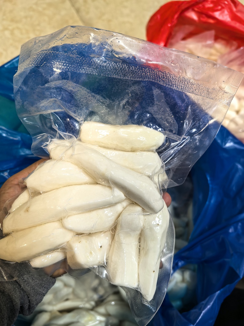 潮阳西胪姜薯