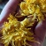 金丝皇菊烘干成本500斤