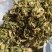 绍兴梅干菜