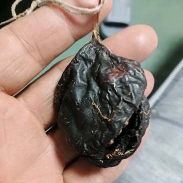 猪砂看中的联系现成淡红色有22克