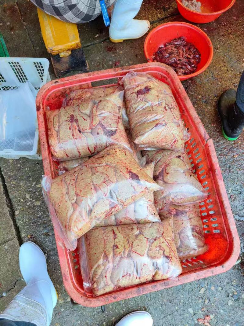 鲜鲤鱼籽