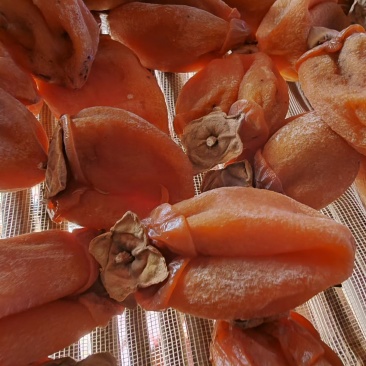 吊柿饼