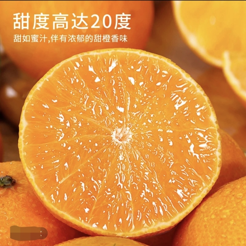 正宗象山红美人：皮薄肉质细腻，果冻般的口感通货精品都有