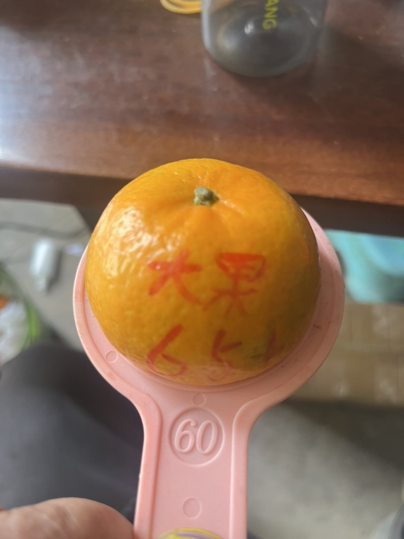 专业一件代发，基地采摘，每天可以接上万单。也可走整车。