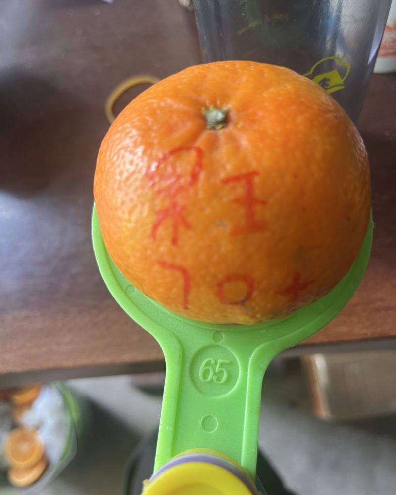 专业一件代发，基地采摘，每天可以接上万单。也可走整车。