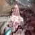 满肉羊蝎子