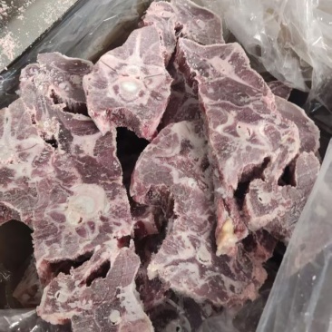 满肉羊蝎子