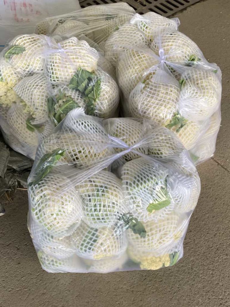 沛县花菜精选菜花有机花菜产地直发量大从优