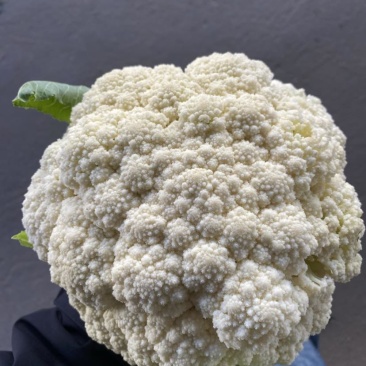 沛县花菜精选菜花有机花菜产地直发量大从优