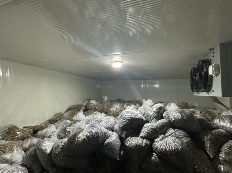 威海青皮无花果干厂家直销有需要的可以联系我价格私信