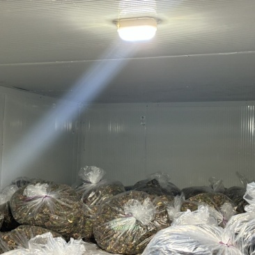 威海青皮无花果干厂家直销有需要的可以联系我价格私信