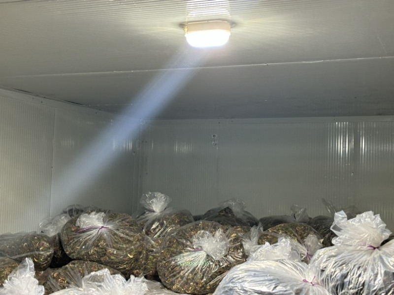 威海青皮无花果干厂家直销有需要的可以联系我价格私信