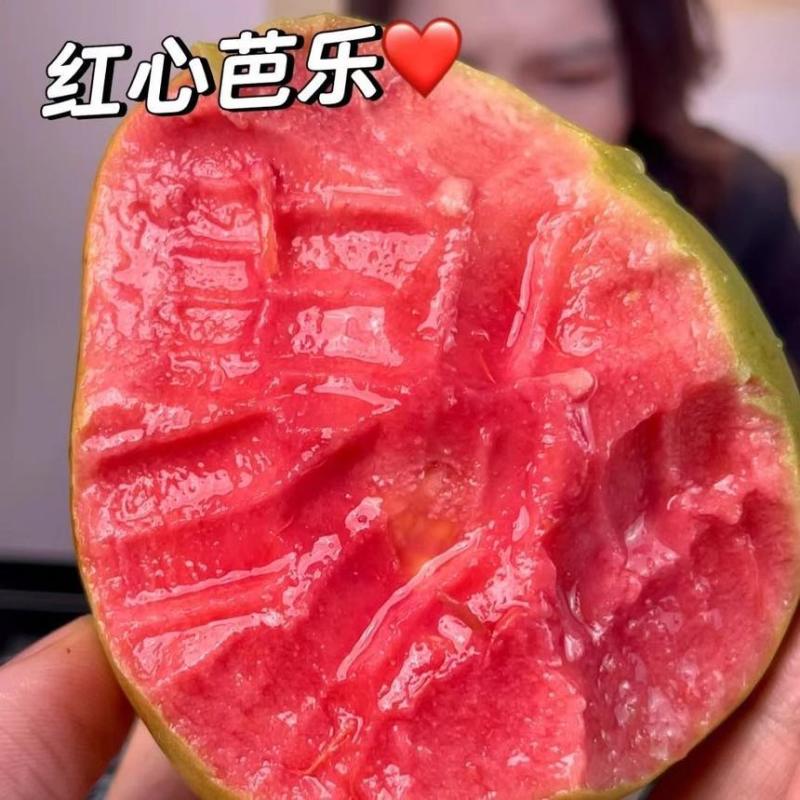 红心芭乐