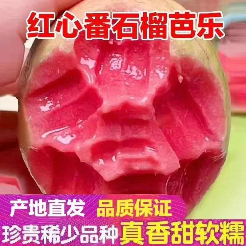 红心芭乐