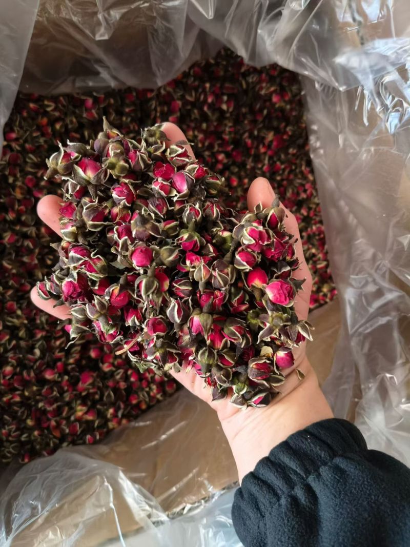 金边玫瑰新货好货现货