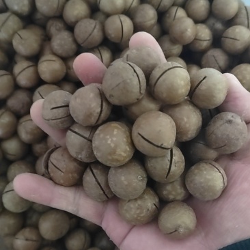 夏威夷果厂家直销，承接各大平台一件代发，欢迎实地考察。
