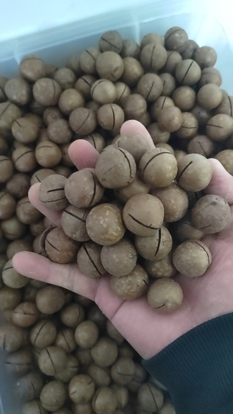 夏威夷果厂家直销，承接各大平台一件代发，欢迎实地考察。