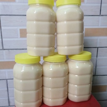 广东冬蜜