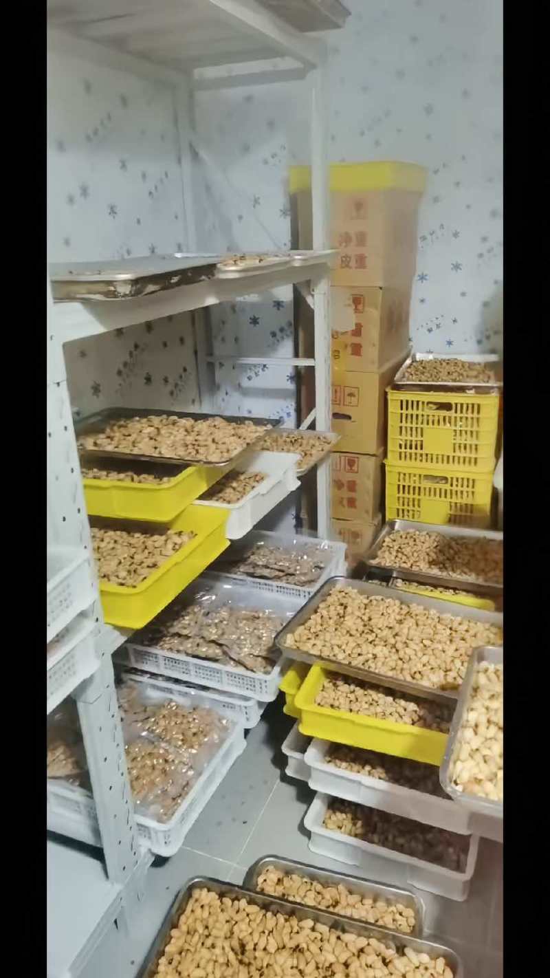 竹笋虫