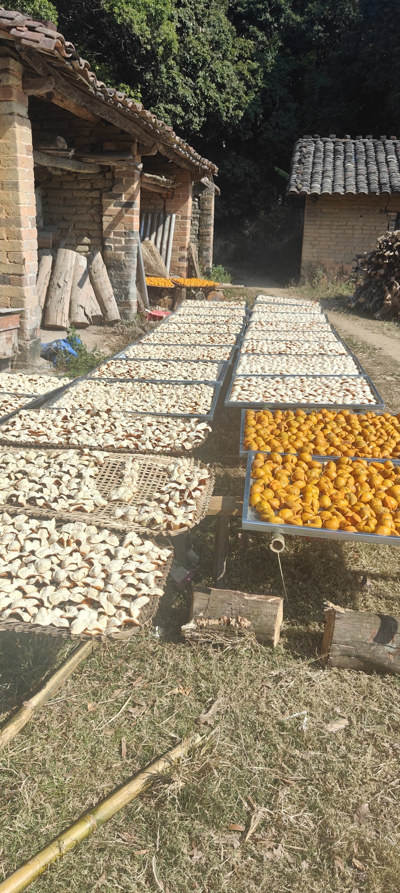 欢迎联系选购正宗产地直发陈皮