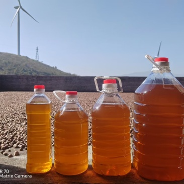 湖南正宗山茶油