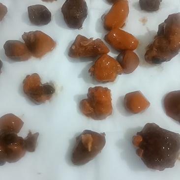 天然牛黄