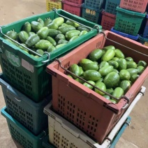 海南子弹头香水柠檬