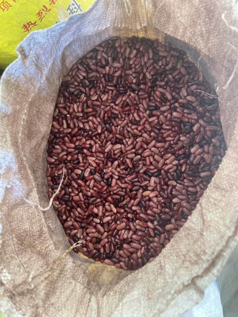 云南大姚县三台乡小红豆