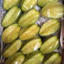 香蜜杨桃