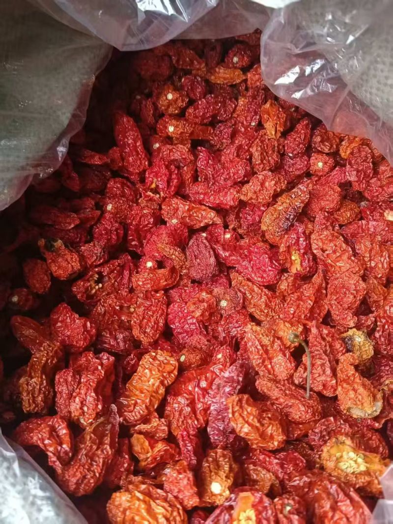 工业辣椒