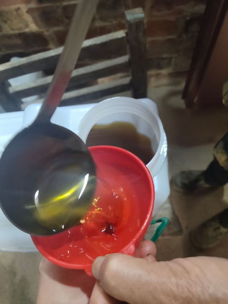 小油茶