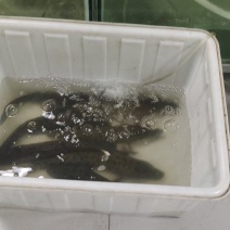 水产品