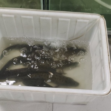 水产品