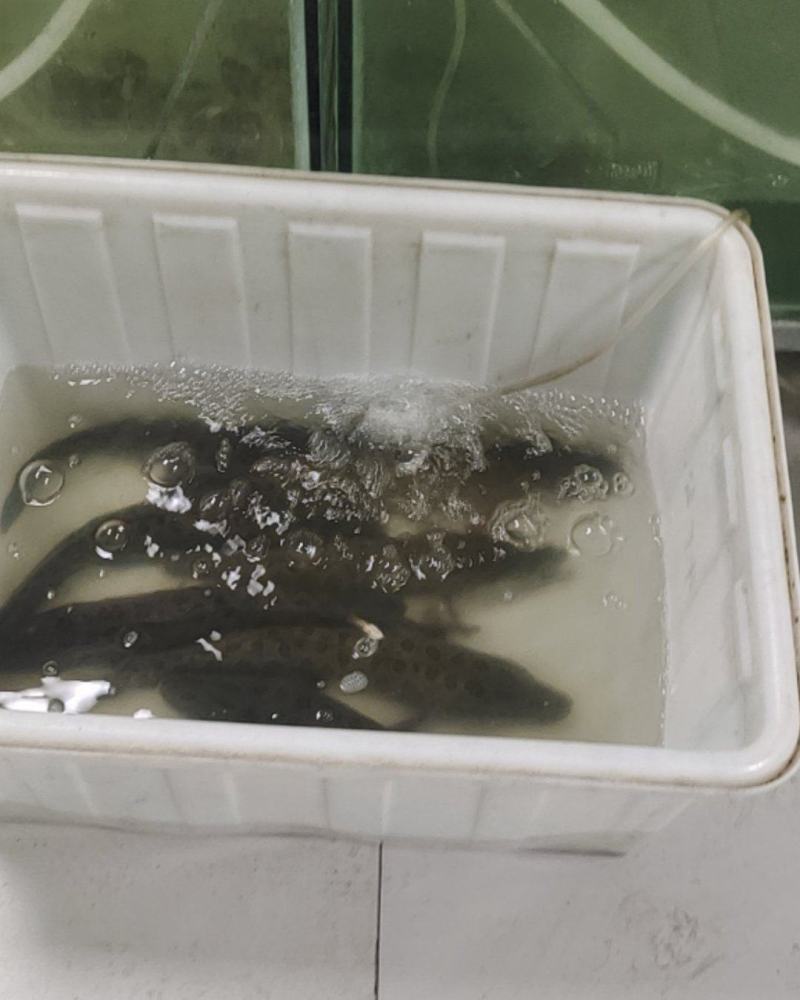 水产品