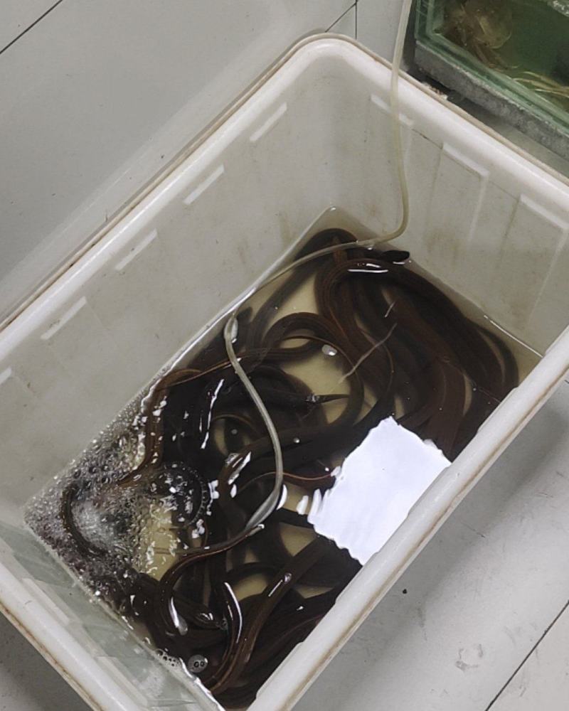 水产品