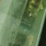水产品