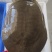 湖北赤壁纯正野生甲鱼