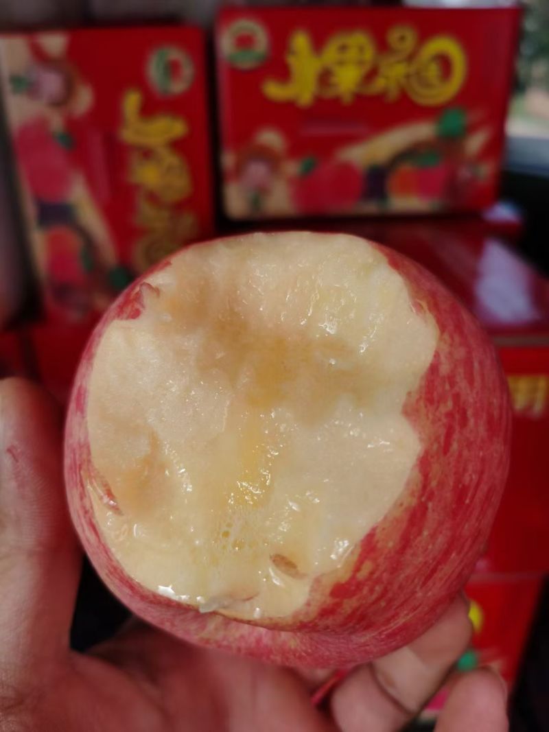 陕西红富士条纹红苹果