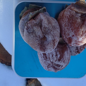 陕西富平柿饼